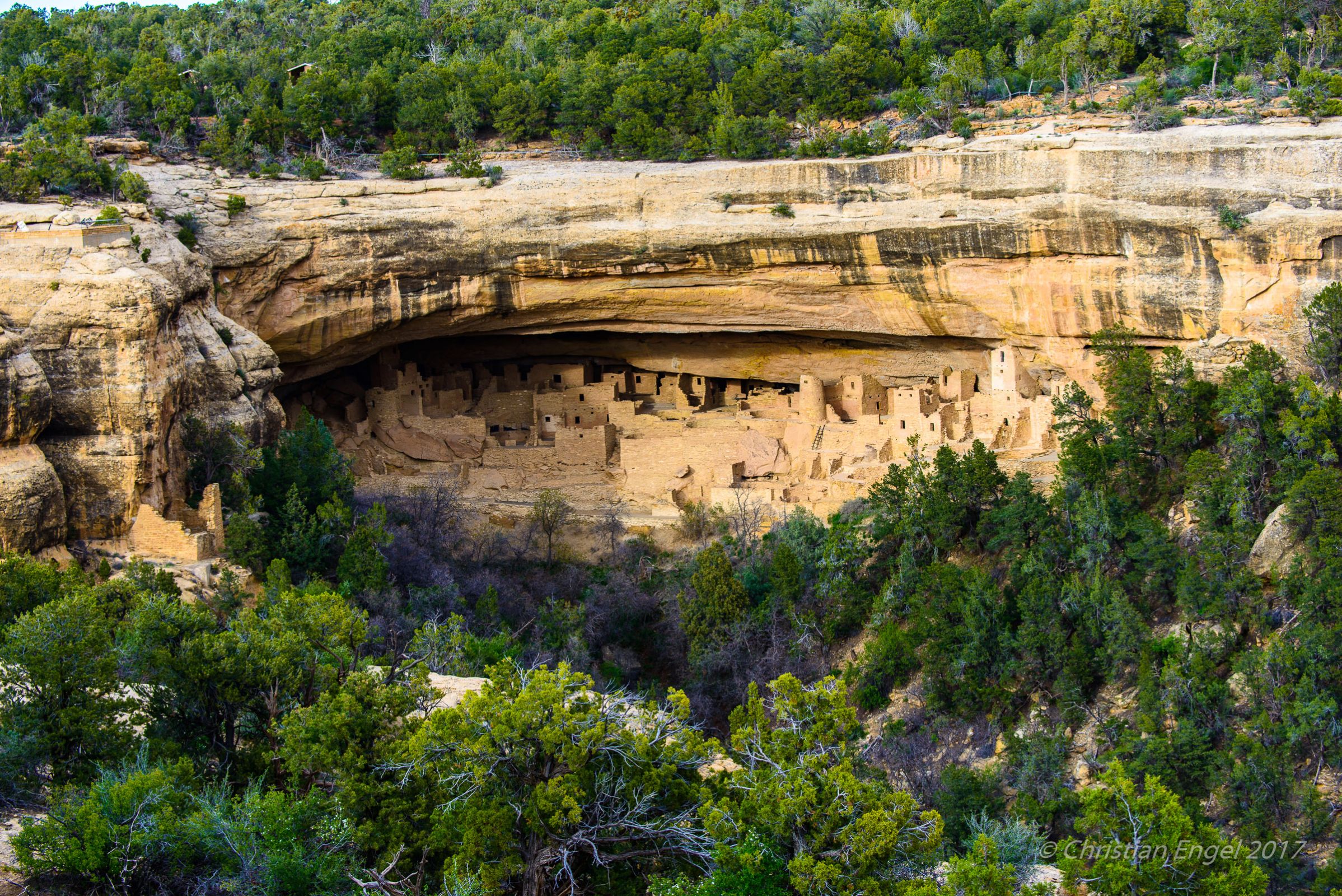 The Ancient Cliff Dwellings at Mesa Verde